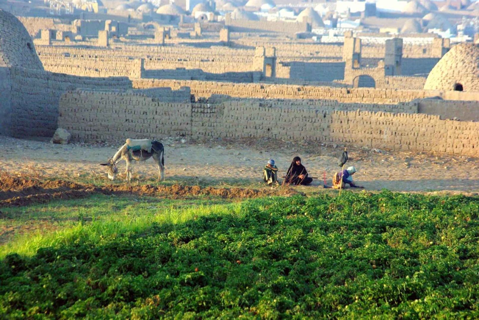 Voyage la Moyenne Egypte et les trésors cachés